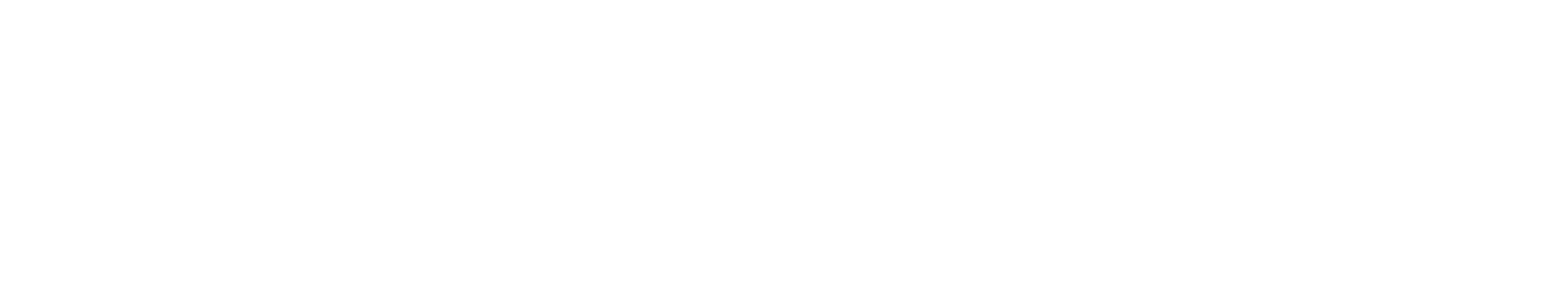 Catch Light Logo, white horizontal